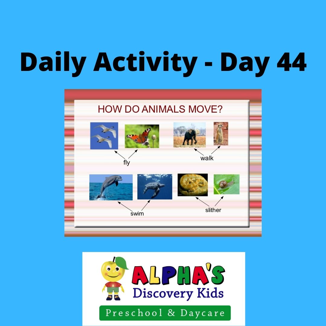 Daily Activity for Kids – Day 44 – Animal Kingdom Physical Activity | Alpha Discovery  Kids