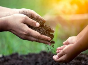 planting with kids