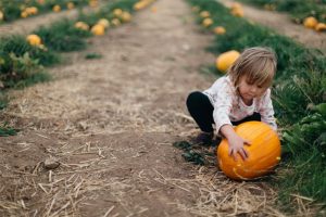 pumpkin